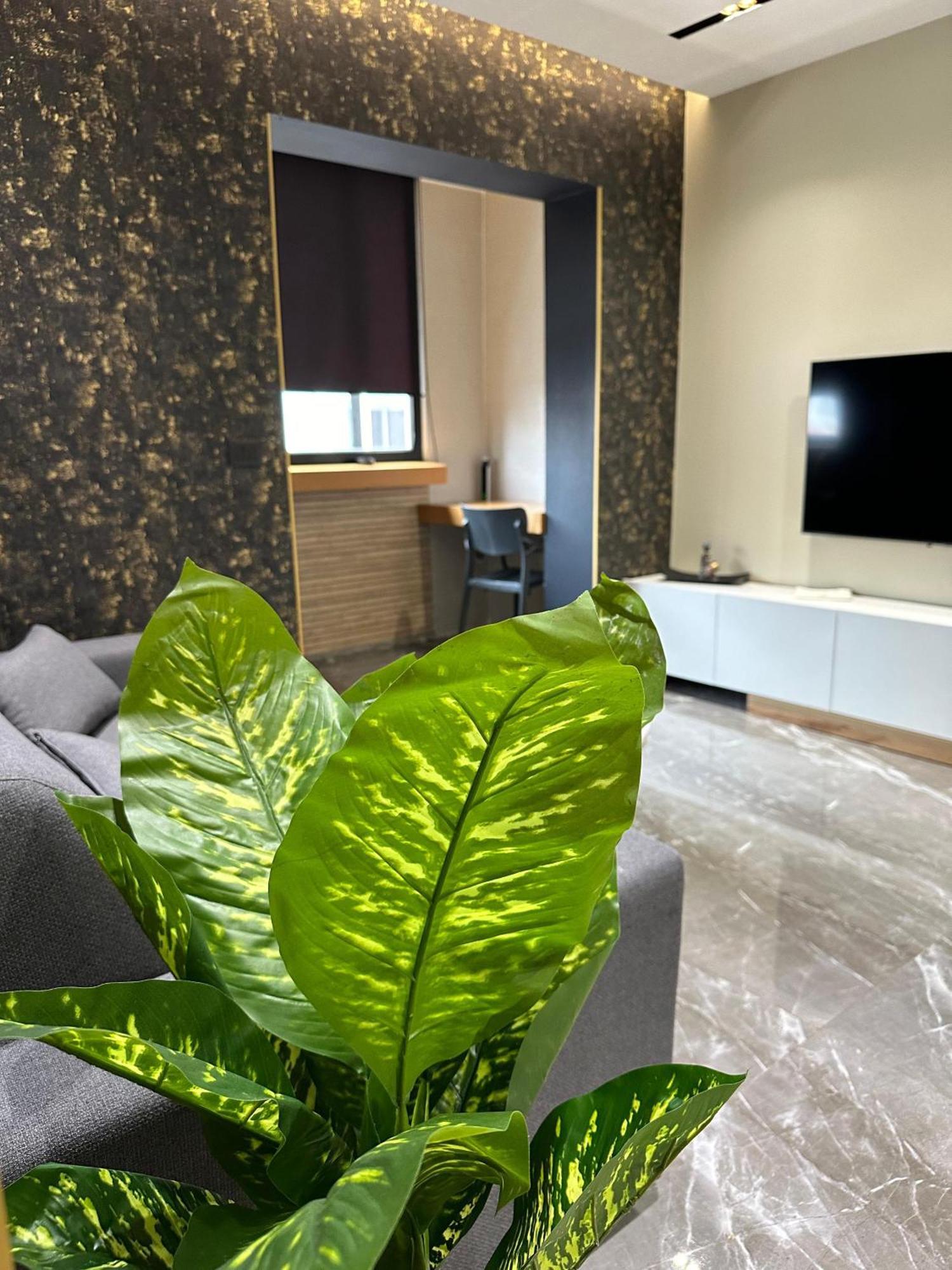 La Mirage & Apartamento Tirana